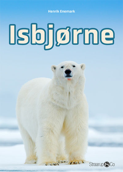 Isbjørne