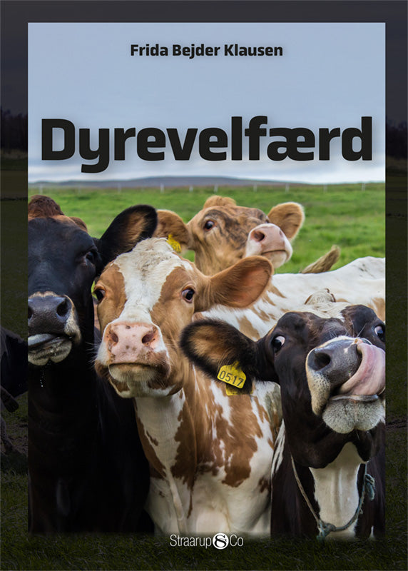 Dyrevelfærd