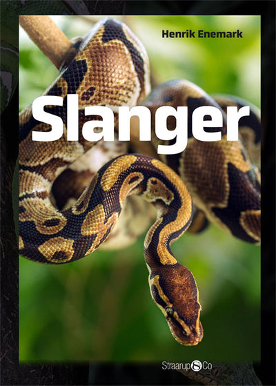 Slanger