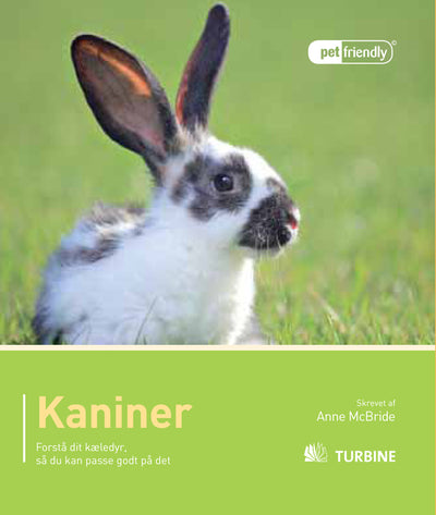 Kaniner