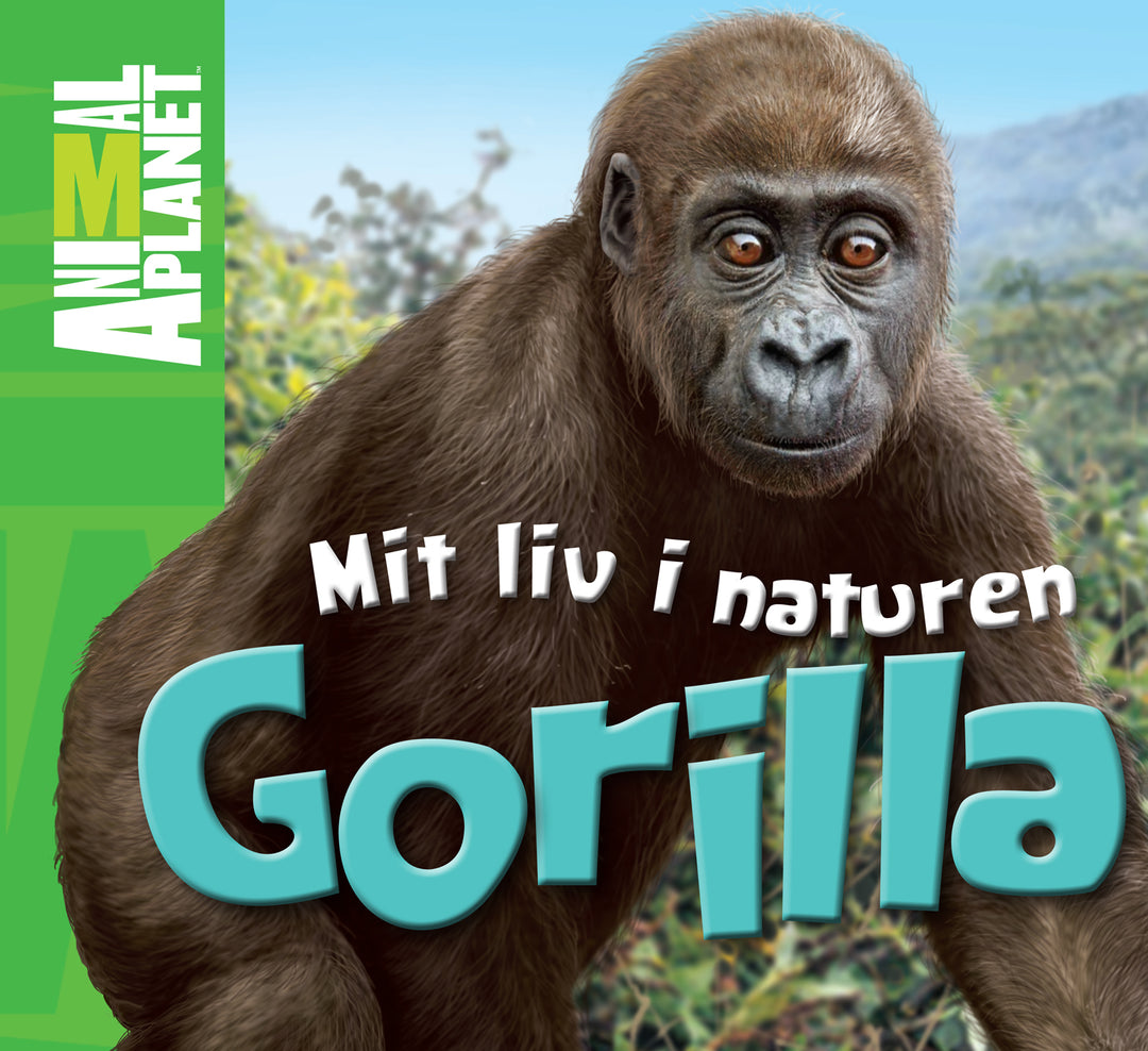Gorilla