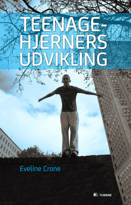 Teenagehjerners udvikling