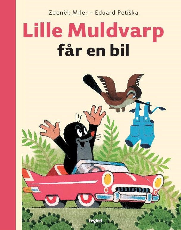 Lille Muldvarp får en bil