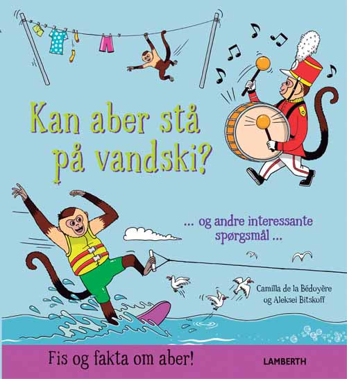 Kan aber stå på vandski?