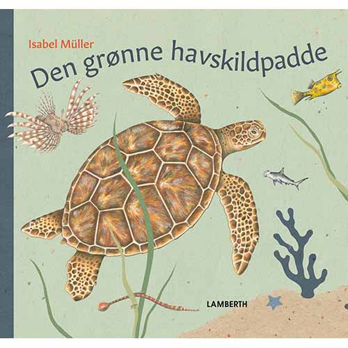 Den grønne havskildpadde