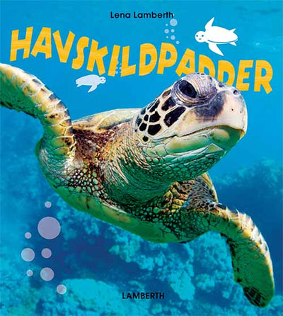 Havskildpadder