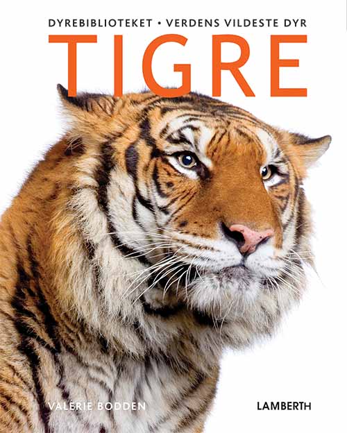 Tigre