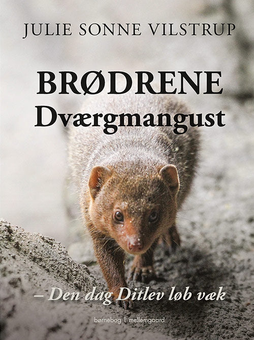 Brødrene Dværgmangust