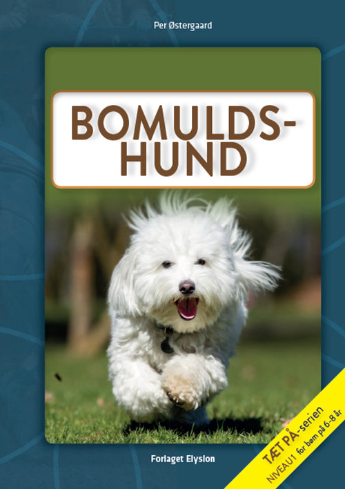 Bomulds-hund