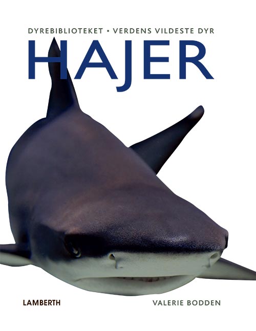 Hajer