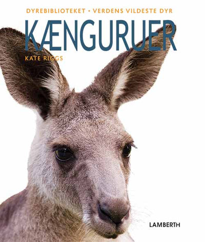 Kænguruer