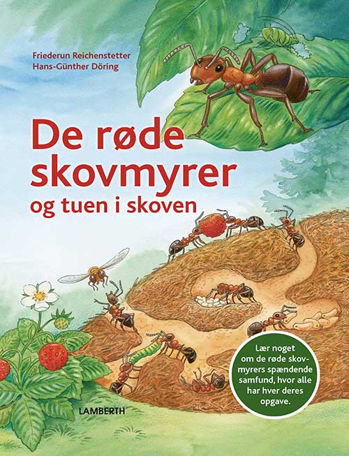 De røde skovmyrer og tuen i skoven