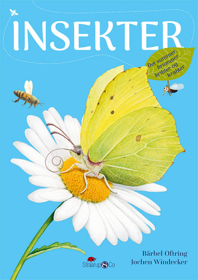 Insekter