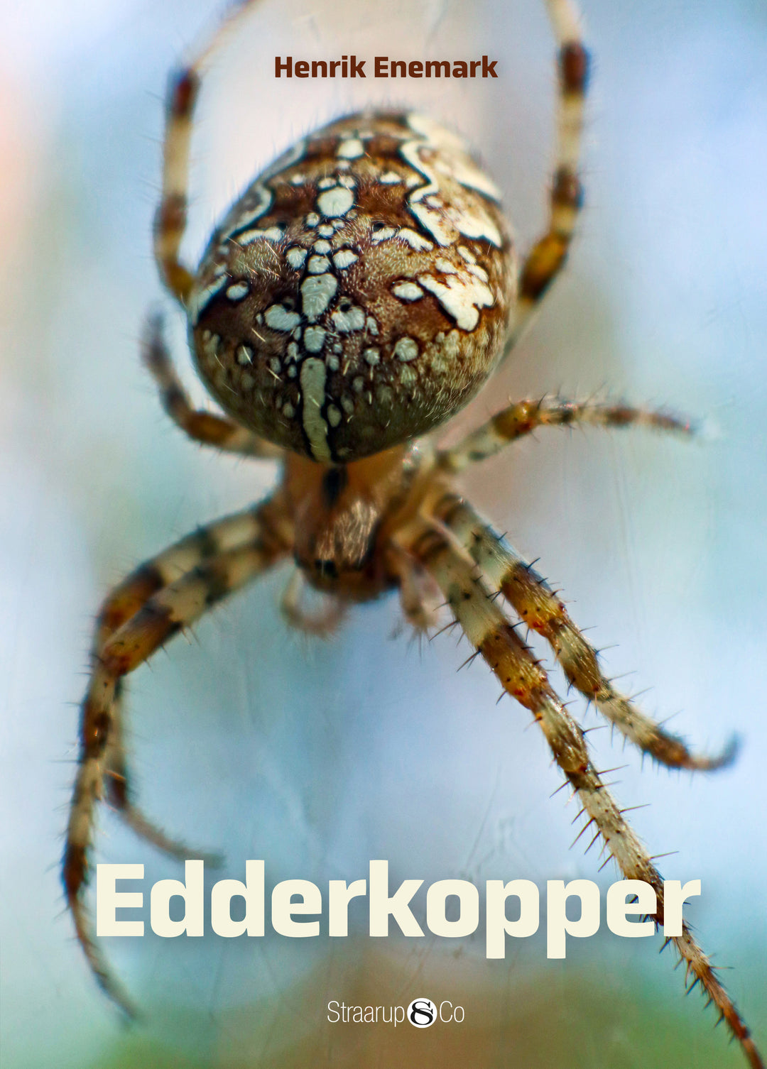 Spil &amp; Læs - Edderkopper