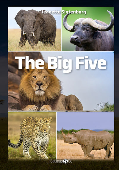 The Big Five