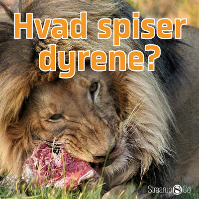 Hvad spiser dyrene?