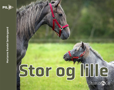 Stor og lille