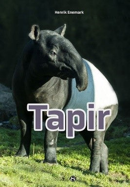 Tapir