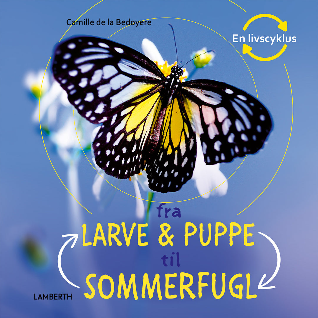 Fra larve og puppe til sommerfugl