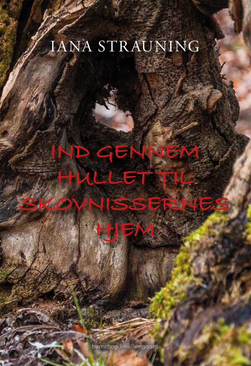 Ind gennem hullet til skovnissernes hjem