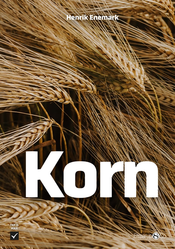 Korn