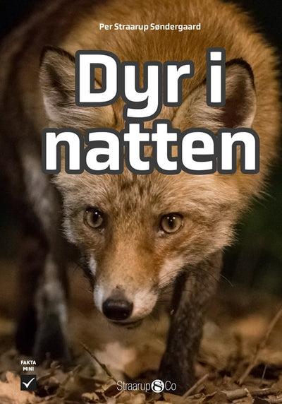 Dyr i natten