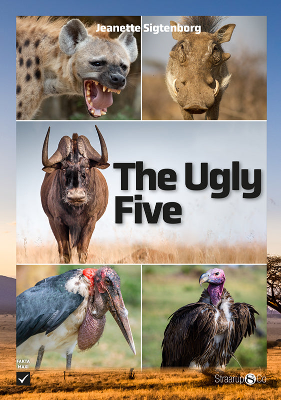 The Ugly Five