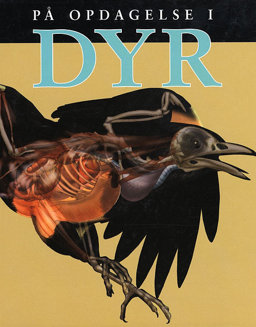 På opdagelse i dyr