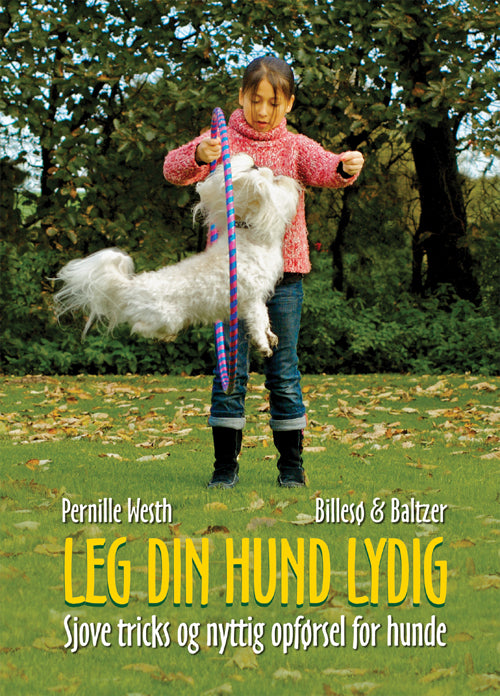 Leg din hund lydig