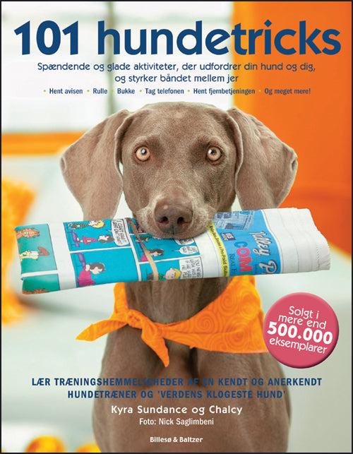 101 hundetricks