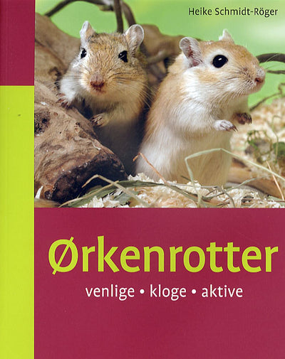 Ørkenrotter