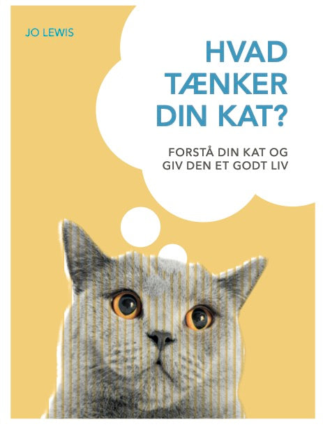 Hvad tænker din kat?