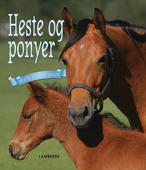 Heste og ponyer