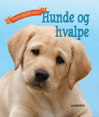 Hunde og hvalpe