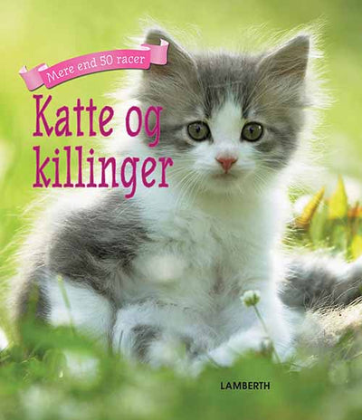 Katte og killinger