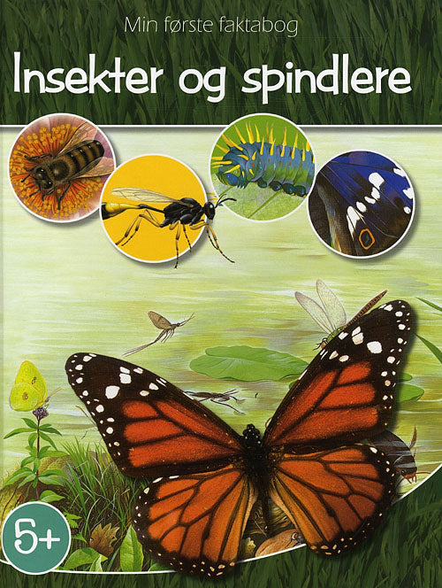 Insekter og Spindlere