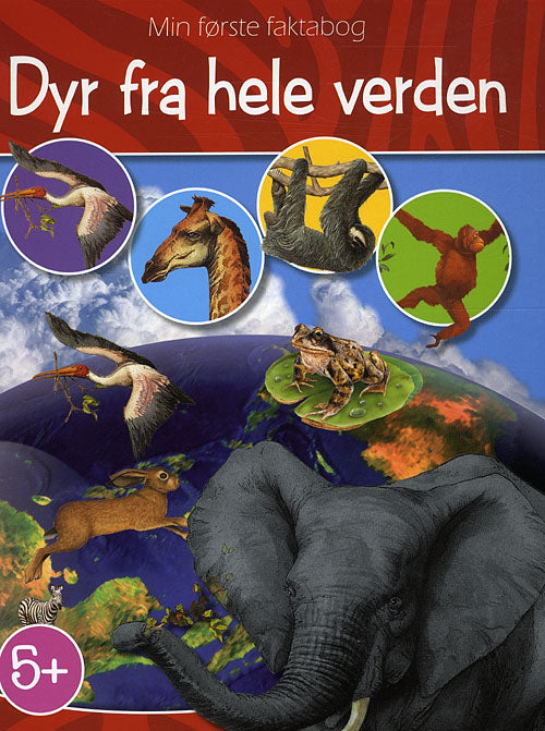 Dyr fra Hele Verden