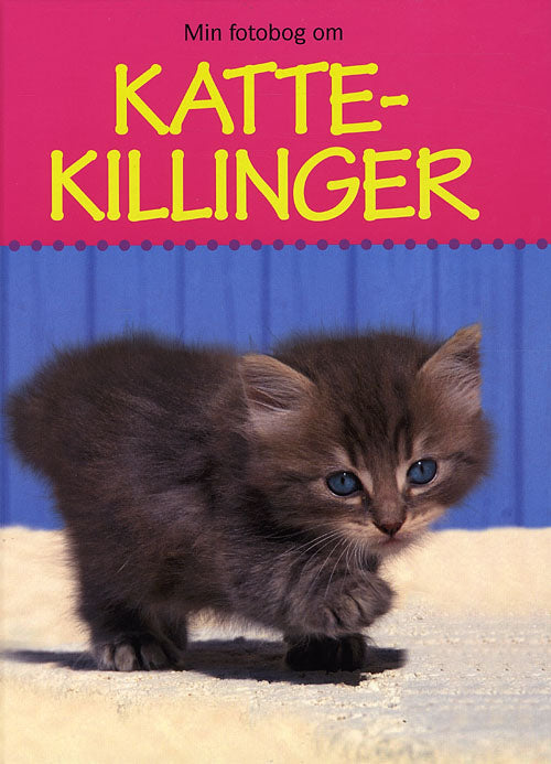 Min Fotobog Om Kattekillinger