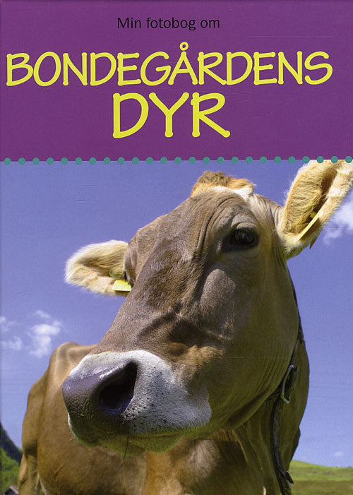 Min Fotobog Om Bondegårdens Dyr
