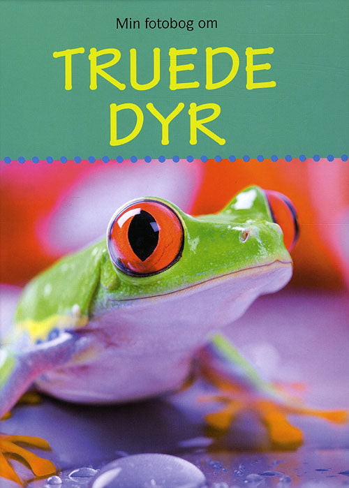 Min Fotobog Om Truede Dyr