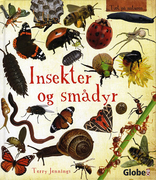 Tæt på naturen: Insekter og smådyr
