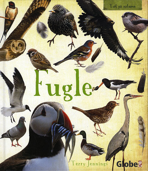 Tæt på naturen: Fugle