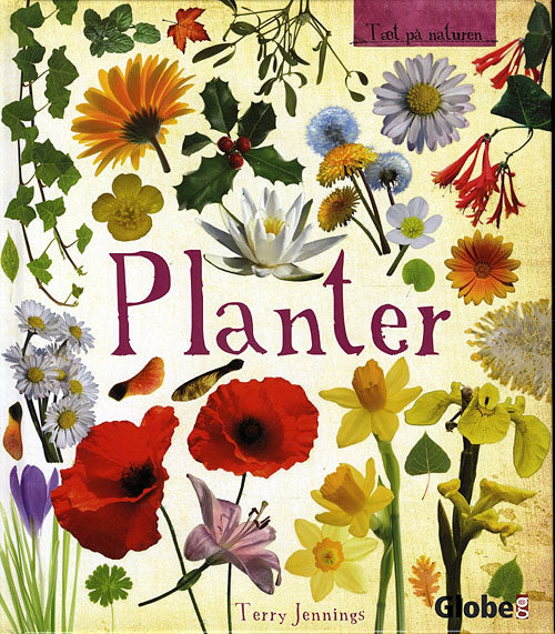 Tæt på naturen: Planter