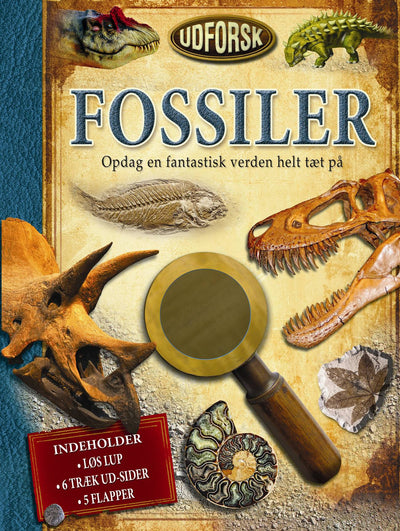 Udforsk fossiler