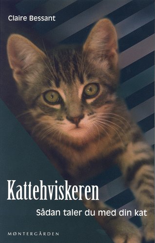 Kattehviskeren