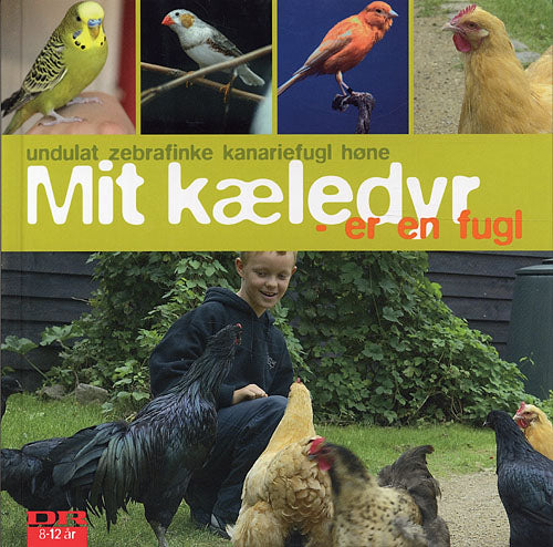 Mit kæledyr er en fugl