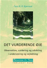 Det vurderende øje