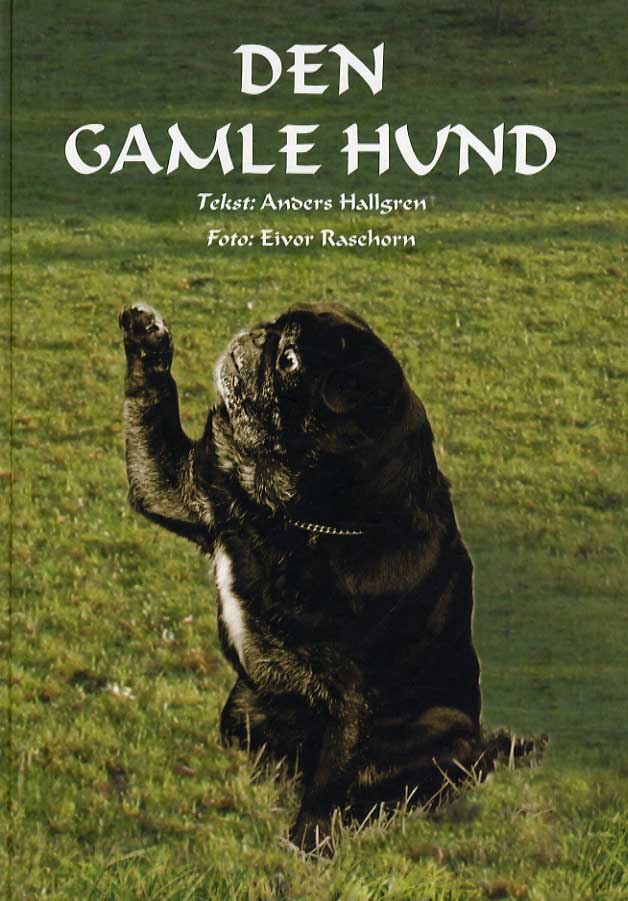 Den gamle hund