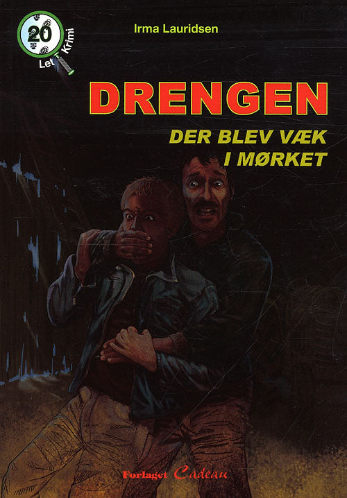 Drengen, der blev væk i mørket