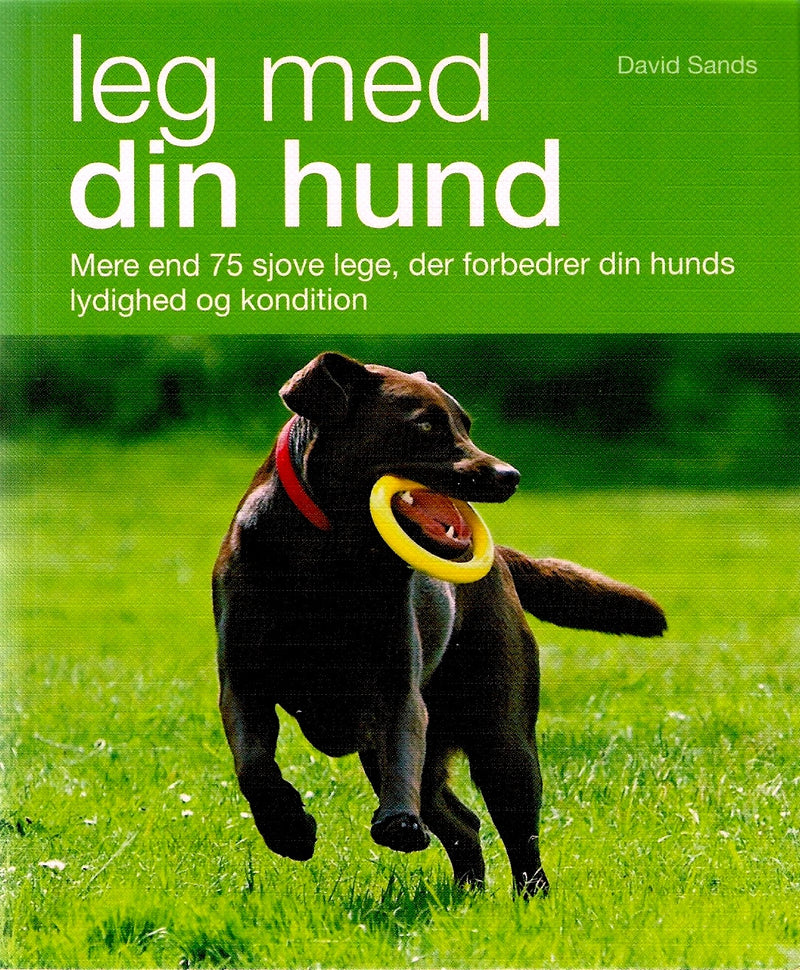 Leg med din hund